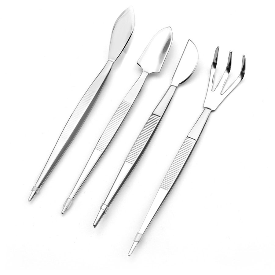 Râteau à racines professionnel - Scissors Stainless Craft avis et prix